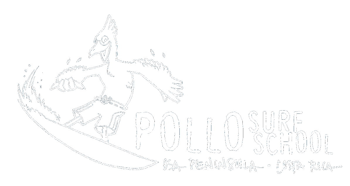 Pollo Surf School