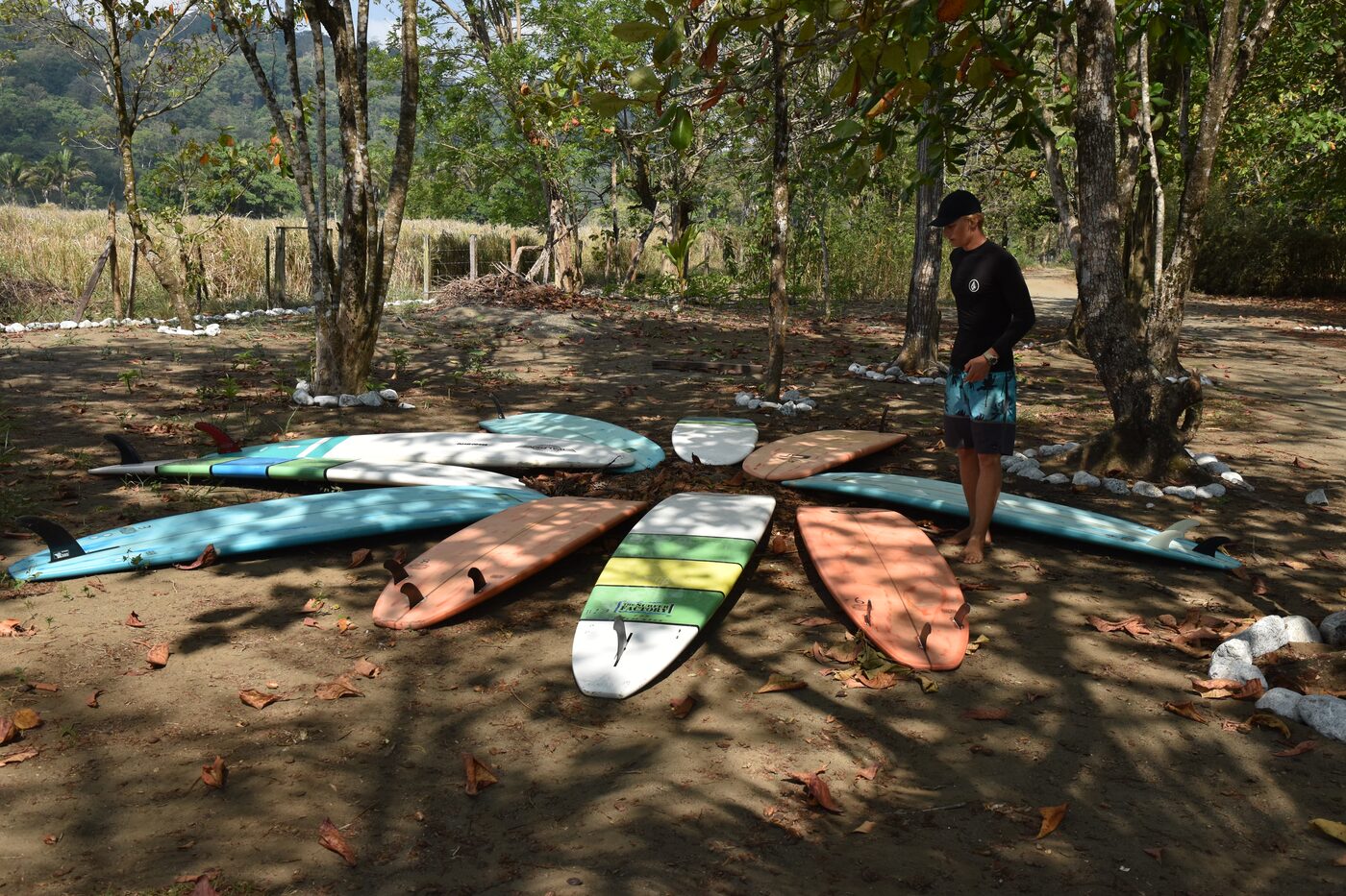 Surfboards laid out on the black sand