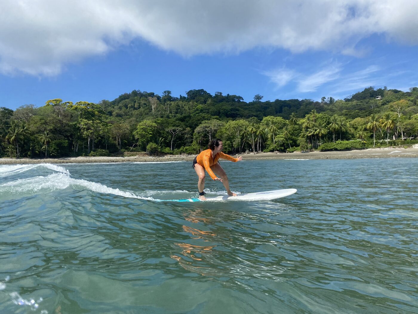 Surfer riding with the Osa rainforest behind